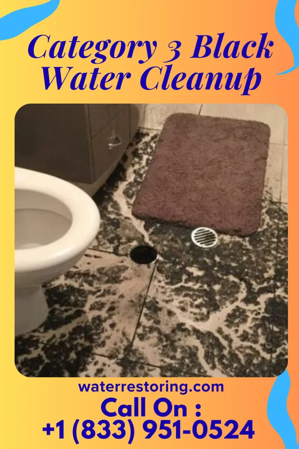 Category 3 Black Water Cleanup in Meadowbrook Farm, KY