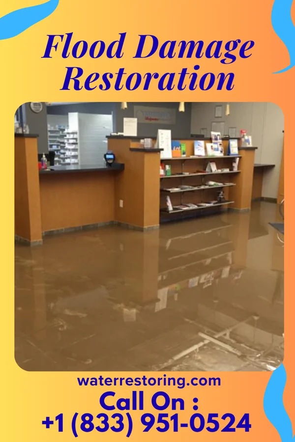 Flood Damage Restoration in Meadowbrook Farm, KY
