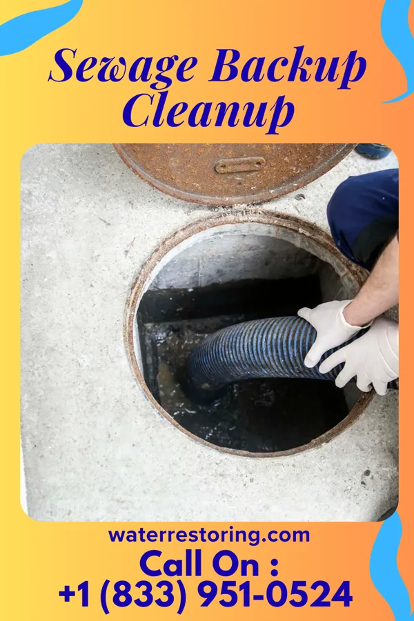 Sewage Backup Cleanup in Meadowbrook Farm, KY