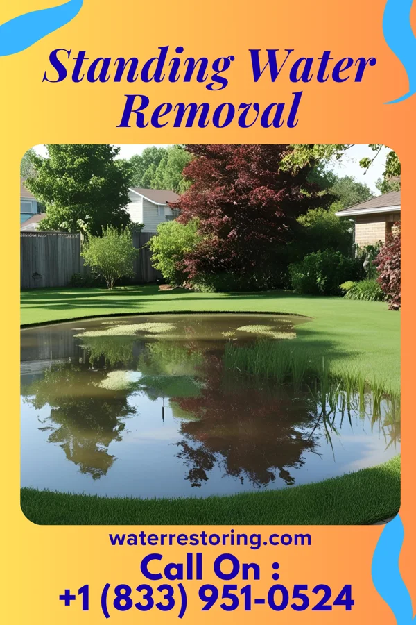 Standing Water Removal in Meadowbrook Farm, KY